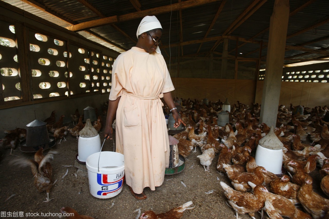 Akpe天主教会家禽饲养实践 信仰与可持续发展的结合