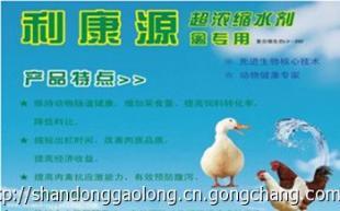秋季家禽养殖专用饲料添加剂 守护呼吸系统健康的关键