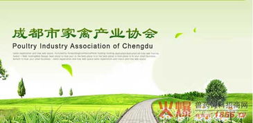 成都家禽产业协会宣布推迟换届工作