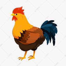 家禽动物大公鸡精美素材图片免费下载——千库网推荐